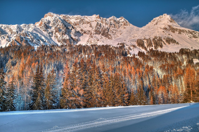 Обои картинки фото природа, горы, зима, лес, дорога