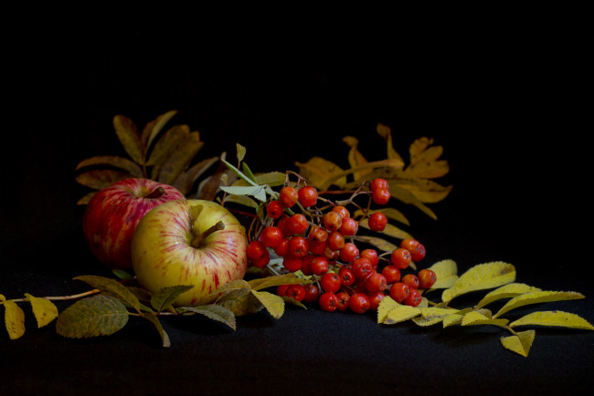 Обои картинки фото еда, фрукты, ягоды, натюрморт