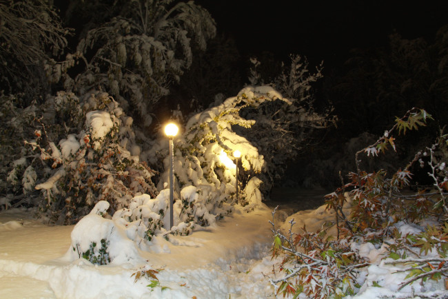 Обои картинки фото природа, зима, парк, снег