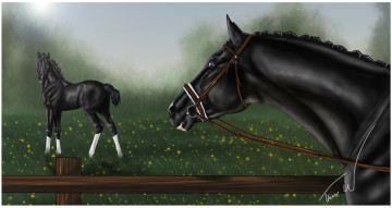 Картинка рисованные животные +лошади лошадка лошадь