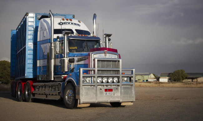 Обои картинки фото kenworth, автомобили, truck, company, автобусы, сша, грузовые