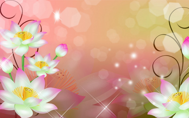 Обои картинки фото векторная графика, цветы , flowers, лотосы, блики