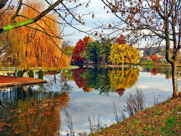 Обои картинки фото природа, парк, листопад, осень, водоем