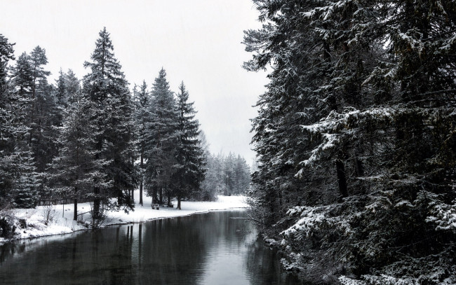 Обои картинки фото природа, реки, озера, река, елки, снег