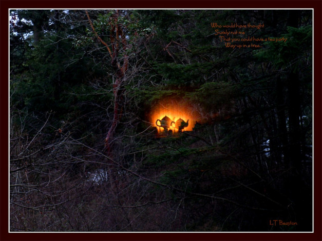 Обои картинки фото two, teapots, in, tree, by, duckinthefog, фэнтези, магия