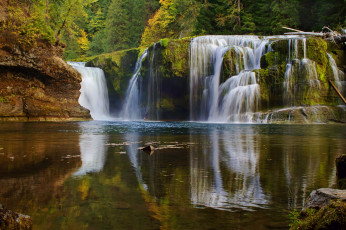 Картинка lower lewis river falls washington природа водопады лес каскад осень река