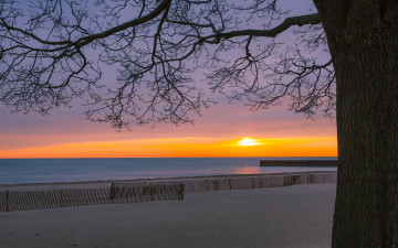 Картинка природа восходы закаты дерево пляж закат море