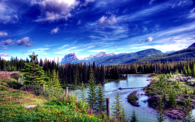 Обои картинки фото природа, реки, озера, цветы, трава, облака, река, леса, горы, панорама