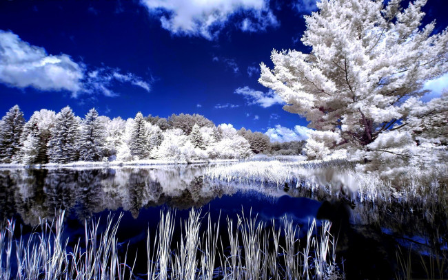 Обои картинки фото природа, реки, озера, отражение, деревья, зима