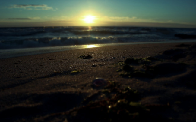 Обои картинки фото природа, восходы, закаты, берег, песок, море, закат