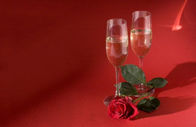 Обои картинки фото еда, напитки, вино, цветок, шампанское, роза
