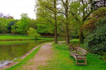 Картинка англия+++charwell+garden природа парк англия деревья река скамейка трава
