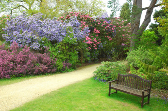 Картинка exbury+gardens+англия природа парк exbury gardens англия сад кусты скамейка дорожка