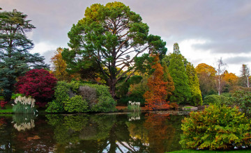 Картинка sheffield+park+garden+england природа парк англия пруд деревья кусты