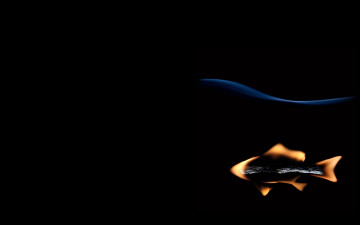 Картинка рисованные минимализм рыбка спичка огонь черный фон автор станислав аристов