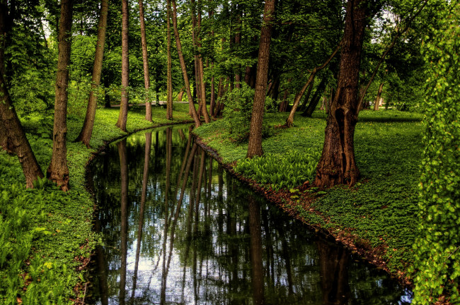 Обои картинки фото природа, парк, варшава, польша, пруд, трава, деревья