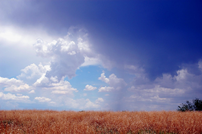 Обои картинки фото природа, облака, небо, синива, пушистые