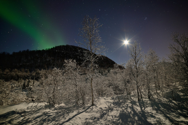 Обои картинки фото природа, северное сияние, ночь, норвегия, сияние, луна, звезды, зима, снег, деревья, лес, горы
