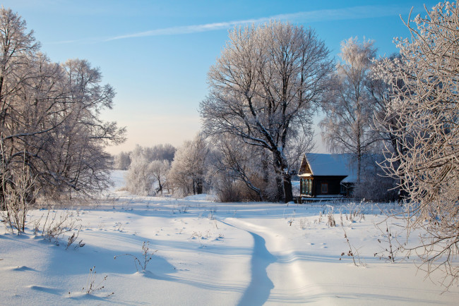 Обои картинки фото природа, зима, снег, деревья, дома