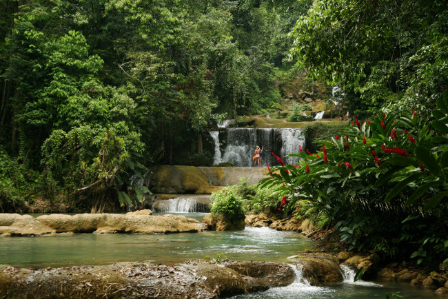 Обои картинки фото ys falls,    cornwall   jamaica, природа, водопады, ямайка, водопад, тропики, лес