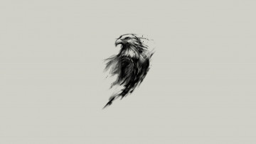Картинка рисованное минимализм животные клюв орел drawing взгляд eagles крылья beak wings feathers перья animals minimalism eyes