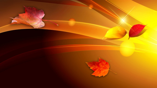 Обои картинки фото векторная графика, природа, осень, листья, коллаж, линии