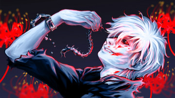 Картинка аниме tokyo+ghoul гуль сумасшествие сороконожка канеки кен