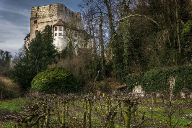 Обои картинки фото angenstein castle, города, замки швейцарии, замок