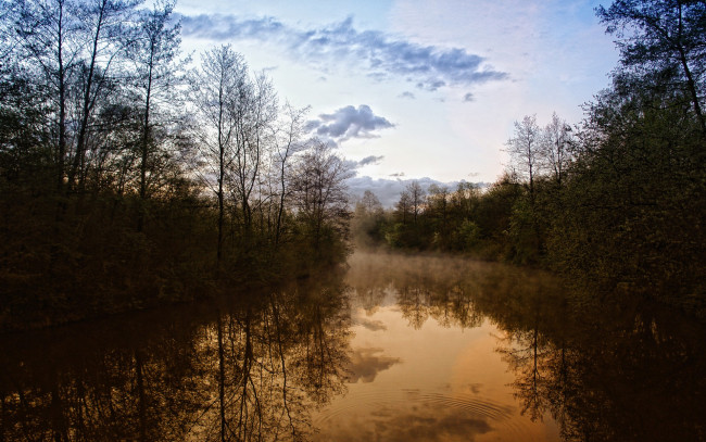 Обои картинки фото природа, реки, озера, небо, облака, деревья, река, туман, утро