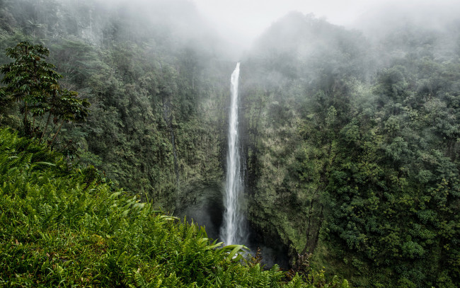 Обои картинки фото природа, водопады, туман, скалы, джунгли, водопад