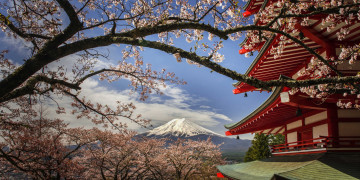 обоя chureito pagoda japan, города, - пейзажи, простор