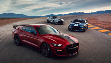 Картинка 2020+ford+mustang+shelby+gt500 автомобили mustang shelby ford купе форд трек gt500 2020