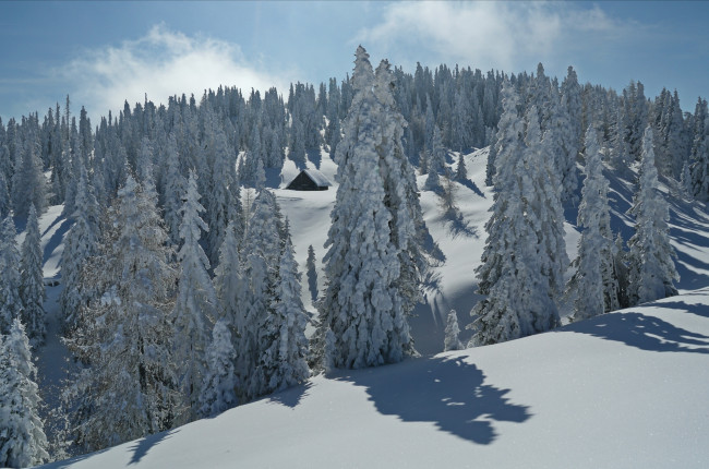 Обои картинки фото природа, зима, домик, ели, деревья, снега, холмы, пейзаж