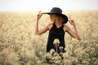 Картинка девушки -+блондинки +светловолосые поле блондинка шляпа
