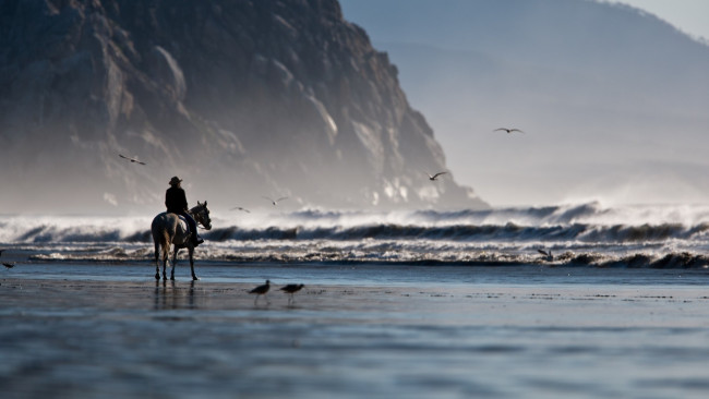 Обои картинки фото мужчины, -unsort, всадник, скала, море, берег