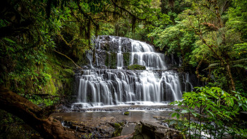 обоя purakaunui falls, new zealand, природа, водопады, purakaunui, falls, new, zealand