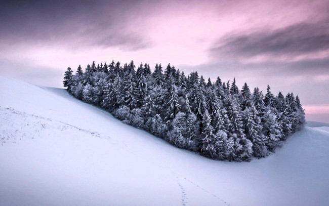 Обои картинки фото природа, лес, снег, горы