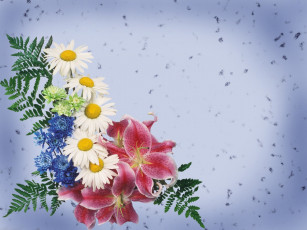 Картинка цветы букеты композиции лилии ромашки хризантемы