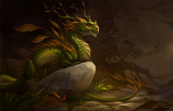 Картинка фэнтези драконы существо лес камень клюв