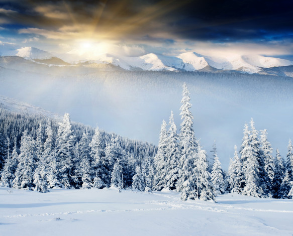 Обои картинки фото природа, зима, снег, ели, пейзаж, горы, восход