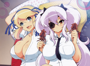 Картинка аниме senran+kagura девушки