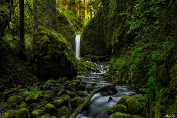 Картинка природа водопады зелень лес водопад камни река