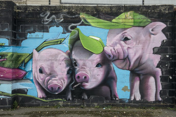 Картинка разное граффити графити стена город