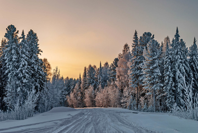 Обои картинки фото природа, зима, лес, дорога
