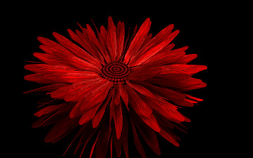 Картинка 3д+графика цветы+ flowers фон лепестки
