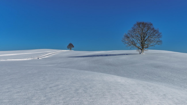 Обои картинки фото природа, зима, сугробы, деревья, холмы, снег