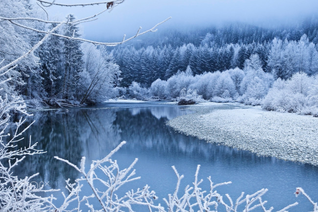 Обои картинки фото природа, зима, снег, туман, деревья, берег, синева, ветки, лес, река