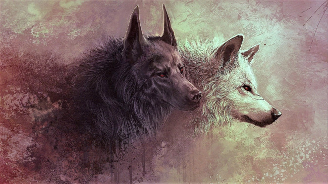 Обои картинки фото рисованное, животные,  волки, волки, черный, белый, шрамы