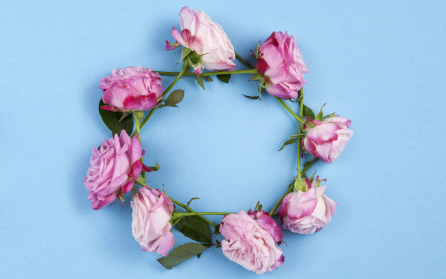 Обои картинки фото цветы, розы, розовые, венок, wood, pink