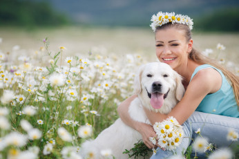 Картинка девушки -+блондинки +светловолосые луг ромашки собака букет улыбка венок